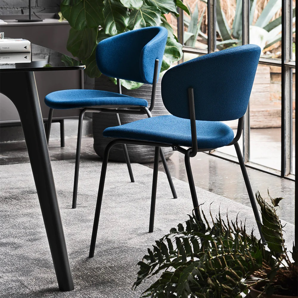 CB2312 Dasy Dining Chair