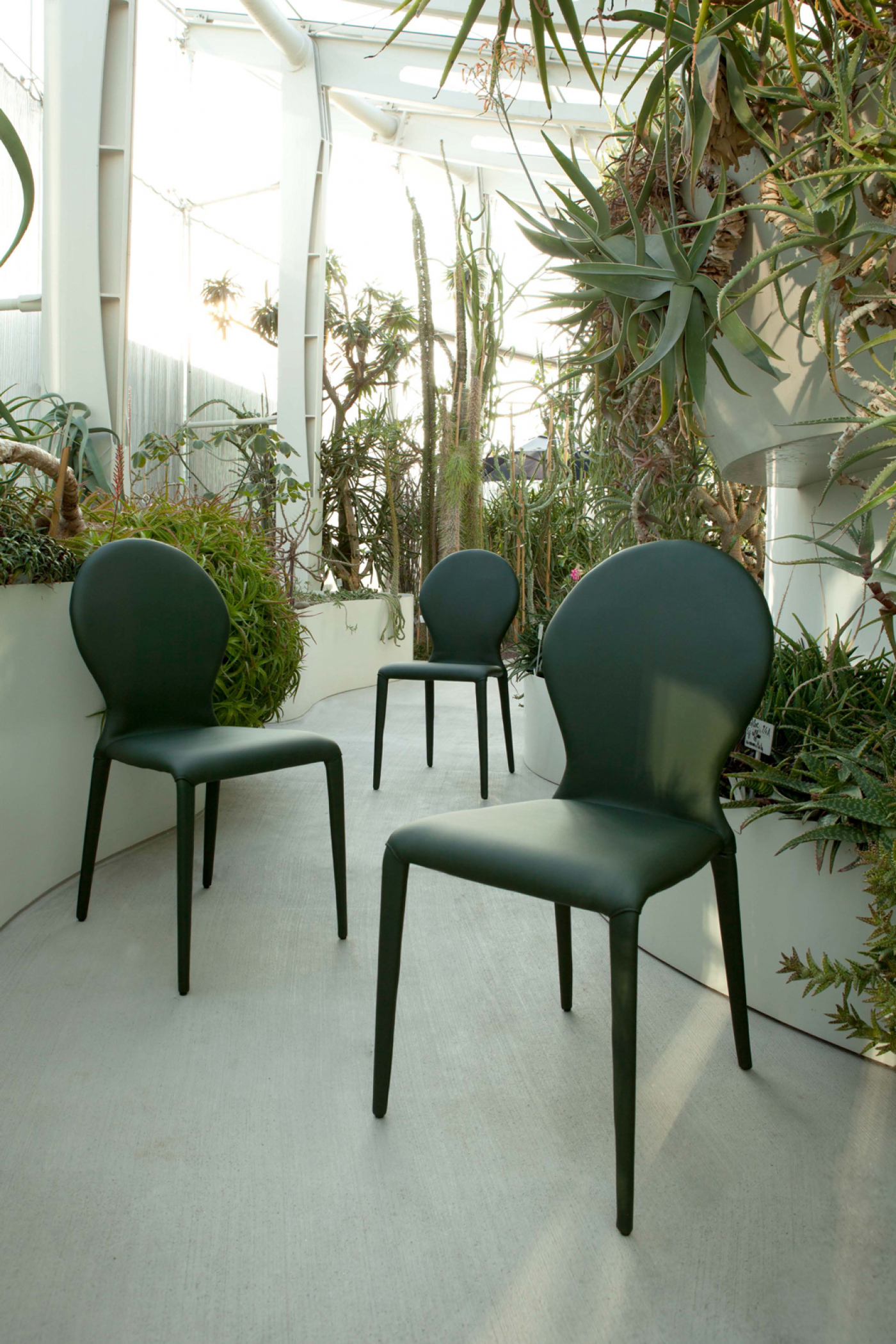 Zar Dining Chair - Thumbnail 4