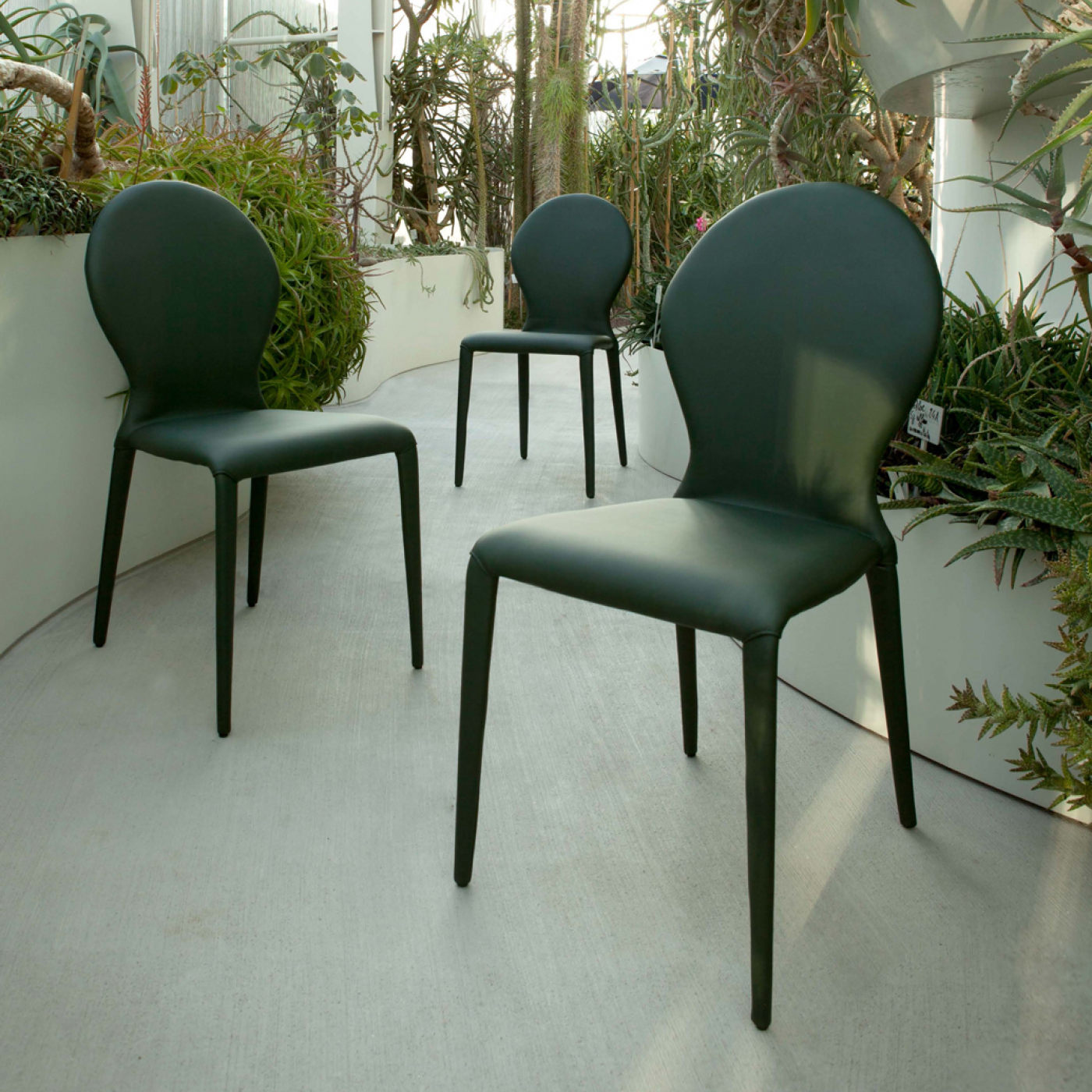 Tonin Casa Zar Dining Chair - Thumbnail 4